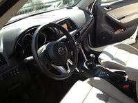 IMG_0350pq.jpg