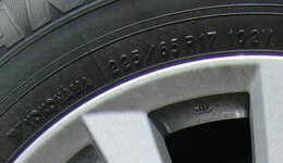 225.jpg