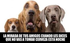 ImageUploadedByTapatalk1355783091.079125.jpg
