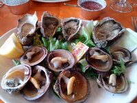 IMG_20130306_135506.jpg