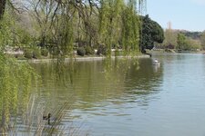 DSCF8108.JPG