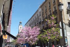 DSCF8110.JPG