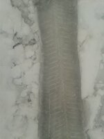 Invierno 2.jpg