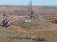 20150307_121217.jpg