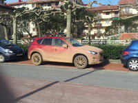 20150308_105230.jpg