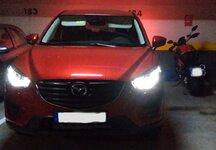 IMG_20150328_201920c.jpg
