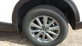 20150422_171952.jpg