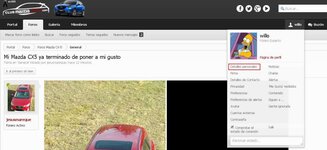 pagina.jpg