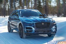 jaguar.jpg