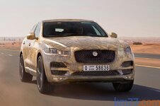 jaguar 2.jpg