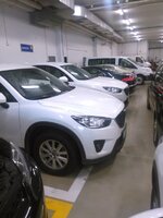 IMG_20150813_101625.jpg