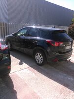 IMG_20150813_110851.jpg
