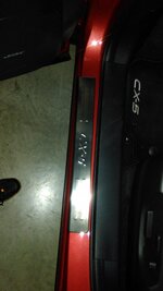 IMG_20150423_205033.jpg