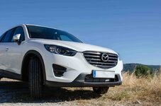 Cx5-6.jpg