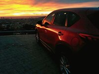 IMG_20151122_073610_1.jpg