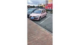 clio rosa.jpg