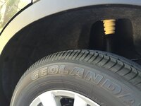 image.jpeg