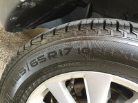 IMG_1163.JPG