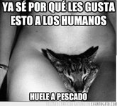 CG_4042_ya_se_por_que_les_gusta_esto_a_los_humanos.jpg