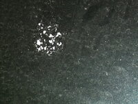 DSCF0335.JPG