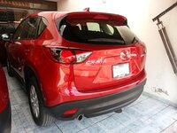 cx 5 posterior.jpg