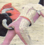 Nueva imagen (8).png