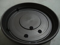 DSC01337.JPG