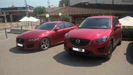 WP_20160904_14_20_02_Pro.jpg