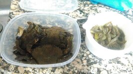 IMG_20160821_195754.jpg