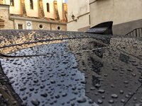 IMG_7119.JPG