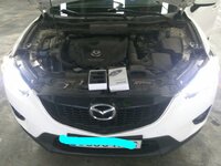 IMG_20170224_083224.jpg