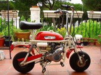 ducati-mini-marcelino-super.jpg