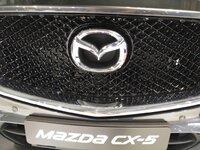 IMG_20170514_113758.jpg