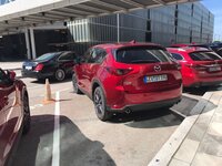 IMG-20170516-WA0002.jpg