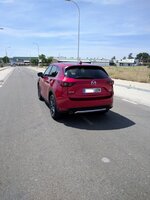 IMG_20170610_162233.jpg