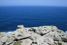 IMG_7731.JPG