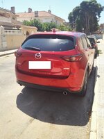 IMG_20170729_125409.jpg