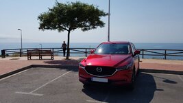 20170920_124127_mat.jpg