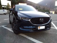 IMG_20171008_193724337.jpg