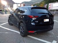 IMG_20171008_193805473.jpg