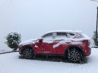 mazda nevado.jpeg