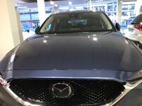 IMG_3081.jpg