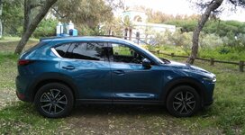 IMG_20180329_124420.jpg