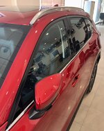 3A294329-2506-4BE8-AF3D-38310D900B00.jpeg