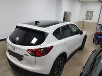 20180405_081522.jpg