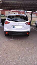IMG_20180409_131726.jpg