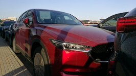 IMG_20180418_191220.jpg