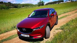 IMG_20180430_121500.jpg