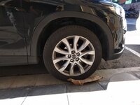 IMG_20180514_091624.jpg