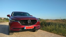 IMG_20180515_092358.jpeg